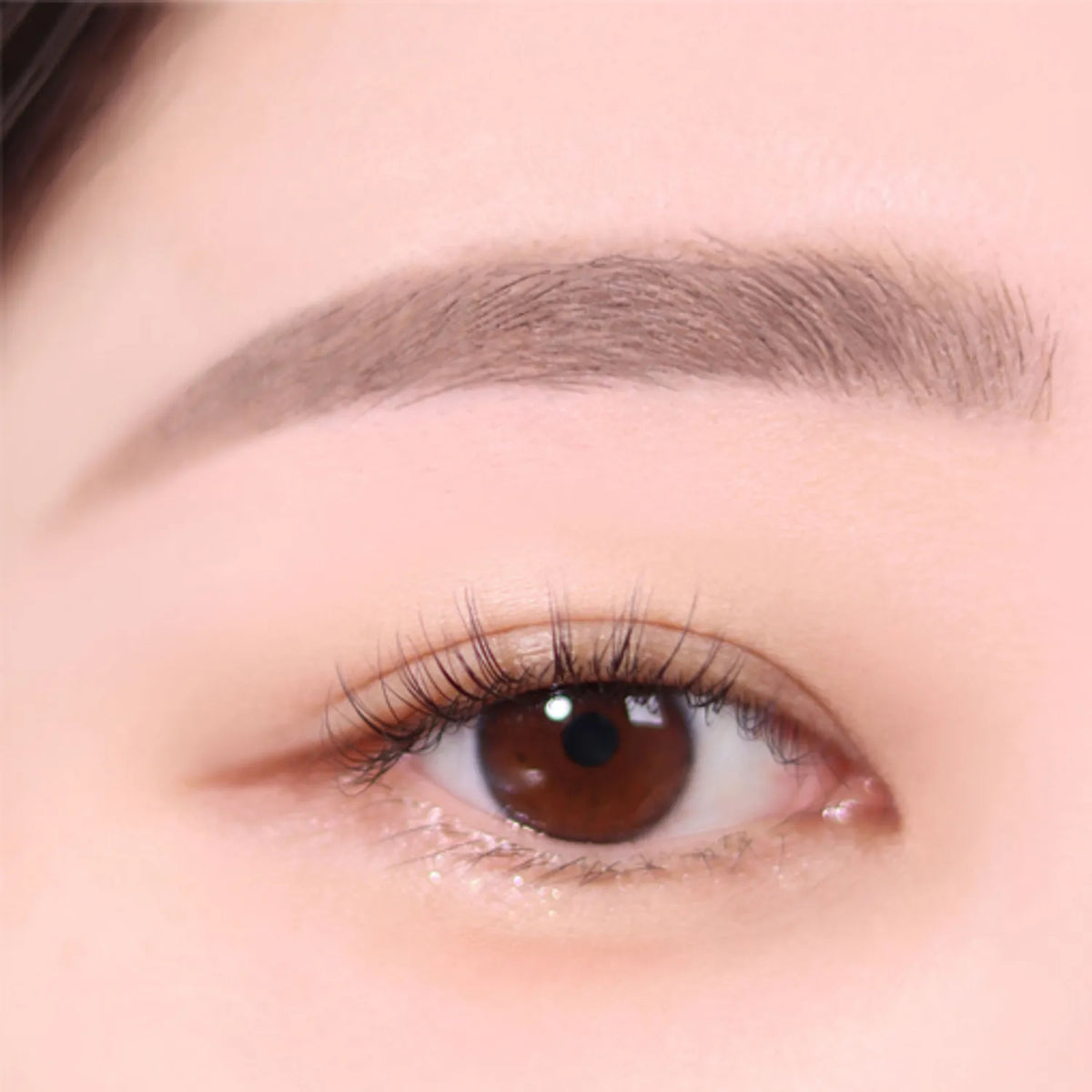 espoir The Brow Color Fixing Cara Mini 2g (4 Colors)