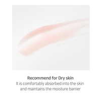 (NEWA) Muldream Deep Repair Serum 40ml - DODOSKIN