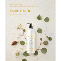 DMCK Snail Toner 500ml - DODOSKIN