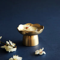 NOTDAM Bangjja Brassware Flower Gua Sha Massager con bolsa acolchada complementaria