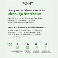 (Matthew) Dewytree Heartleaf 100 Cream 50ml - DODOSKIN