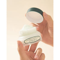 SELENUS Artemisia Calming Us Water Cream 50g - DODOSKIN