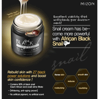 MIZON Black Snail All In One Cream 75ml - DODOSKIN