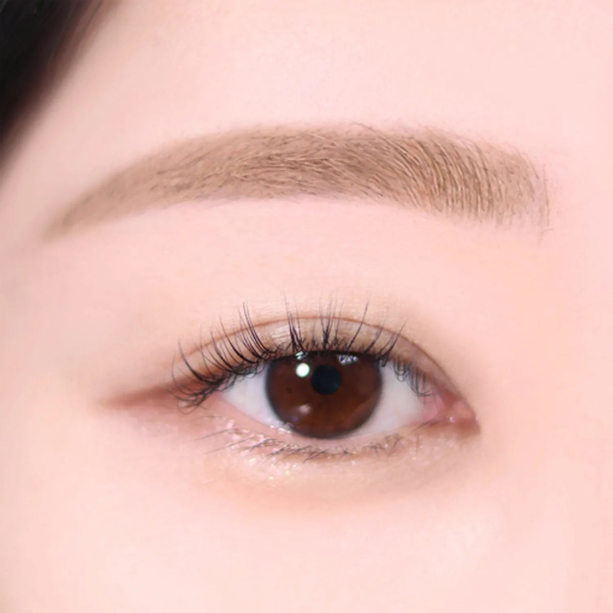 espoir The Brow Color Fixing Cara Mini 2g (4 Colors)