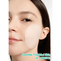 BRING GREEN Tea Tree Cica Trouble Soothing Toner Pad 90 pads - DODOSKIN