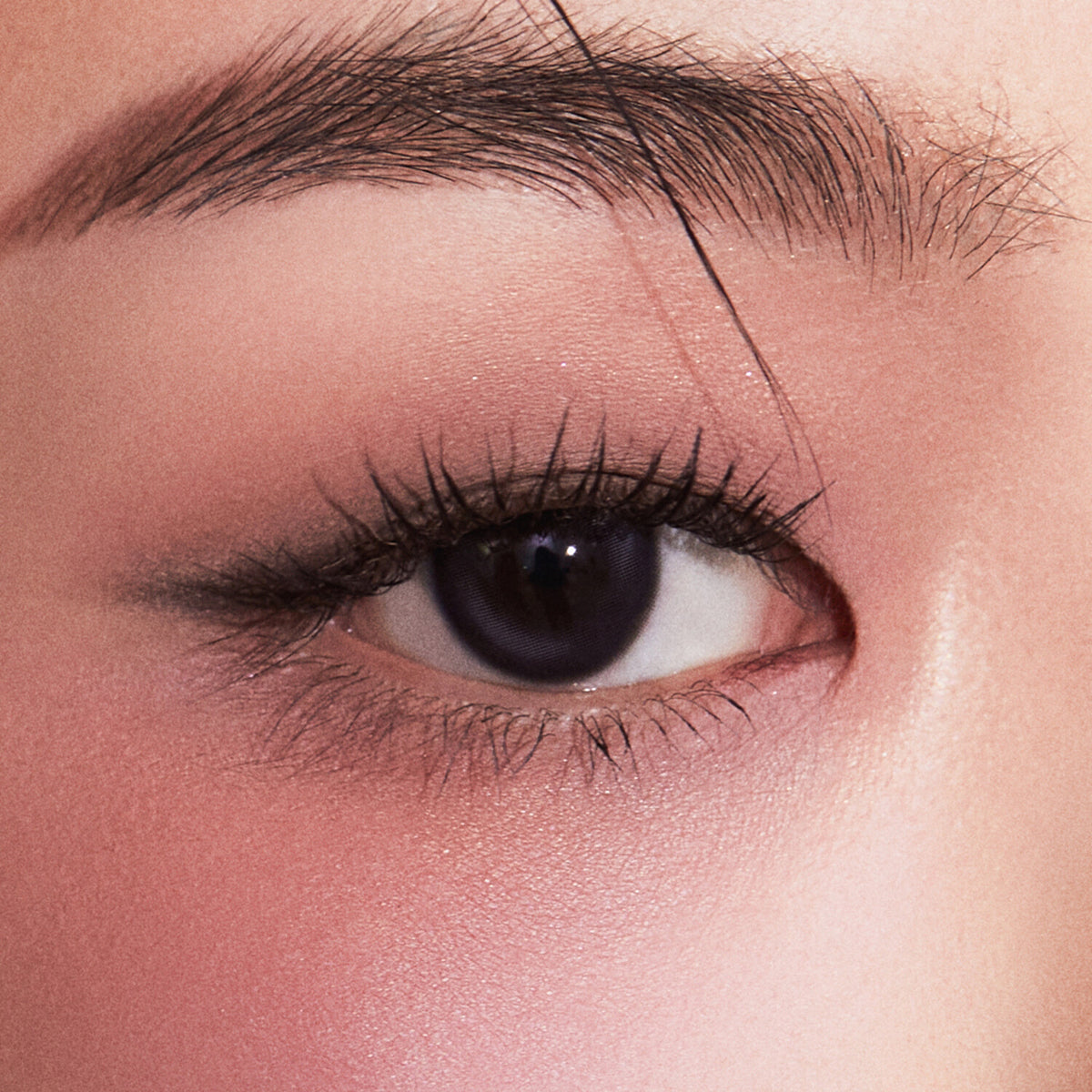 Javin de Seúl Wink Eye Shade Primer 5.5G