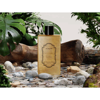 NOWATER Gold Honey Agave Bodywash 350ml - 2 Types - DODOSKIN