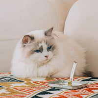 [Gift Packaging] OPTATUM Cat Paper Incense & Catnip Toy Gift Set