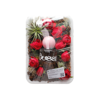 Bussi Eau De Parfum 30ml (5 options to choose)