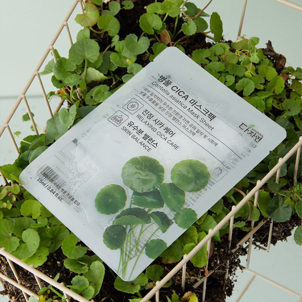 Dajayeon CICA Centella Asiatica Mask Pack (13 Sheets) + Ginseng Mask Pack (13 Sheets)
