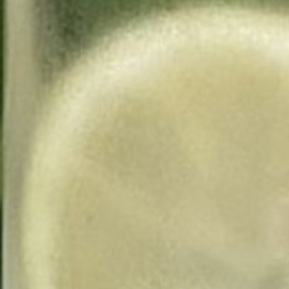 FRUTO