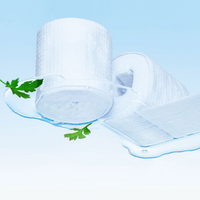 Hanyul Pure Artemisia Hyal Hyal Pad 60 Hojas