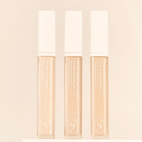 HEVE BLUE Pentaberry Panthenol Repair Concealer 8.5g