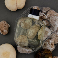 HOTEL DAWSON Welcome to the Pleasuredome Room Diffuser (250ml) - Black Cherry, Musky & Sweet Scent (Main Diffuser + Fur Coaster + 5 Reed Sticks Set)