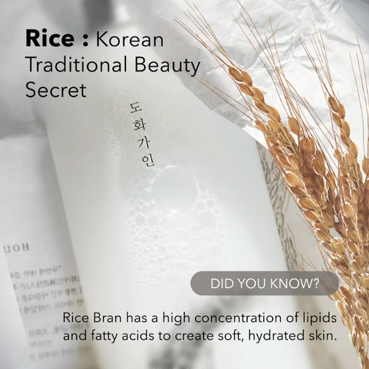 House of Dohwa Rice Bran Toner 500ml