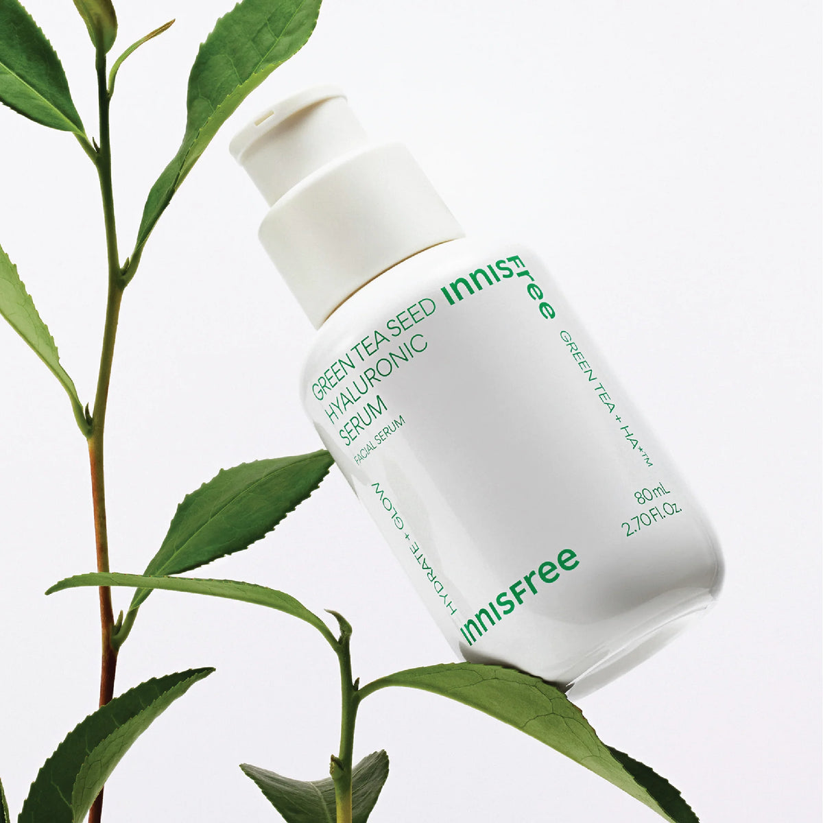Innisfree Sero de semillas de té verde Sero 80 ml