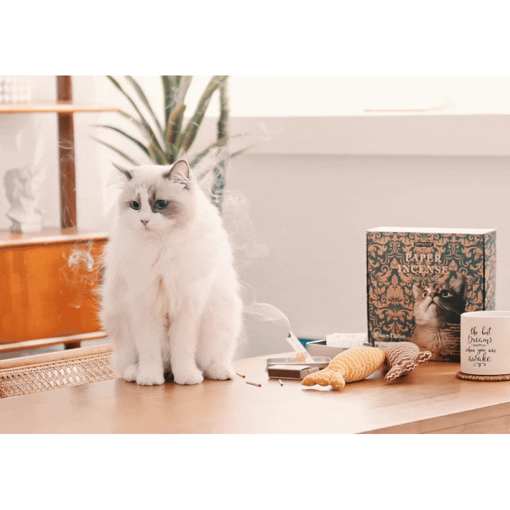 [Gift Packaging] OPTATUM Cat Paper Incense & Catnip Toy Gift Set