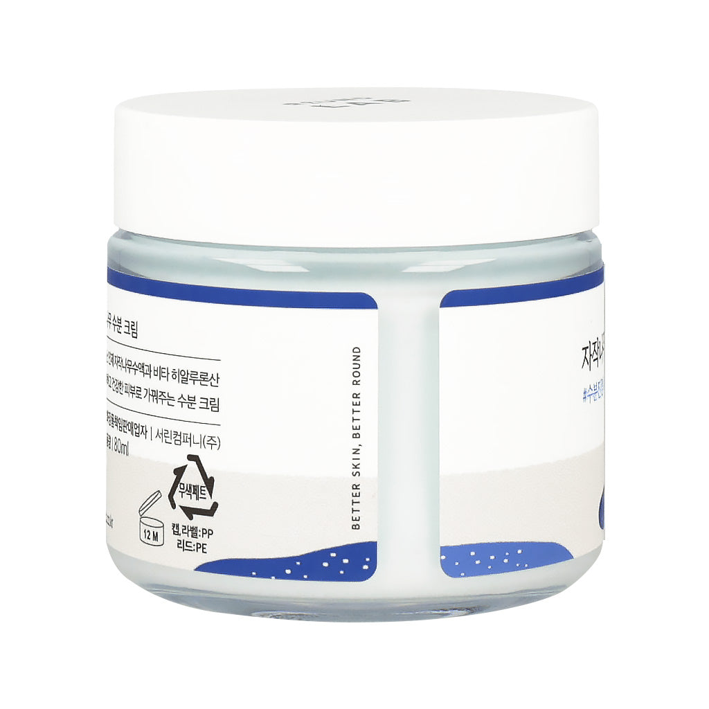 Jar of 80ml ROUND LAB Birch Juice Moisturizing Cream, with 'the face shop watery gel cream' branding.