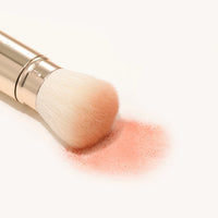THE TOOL LAB 301 Portable Powder Blusher & Shading Brush (Retractable)