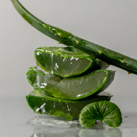 Toun28 estándar cica aloe gel gel 300g
