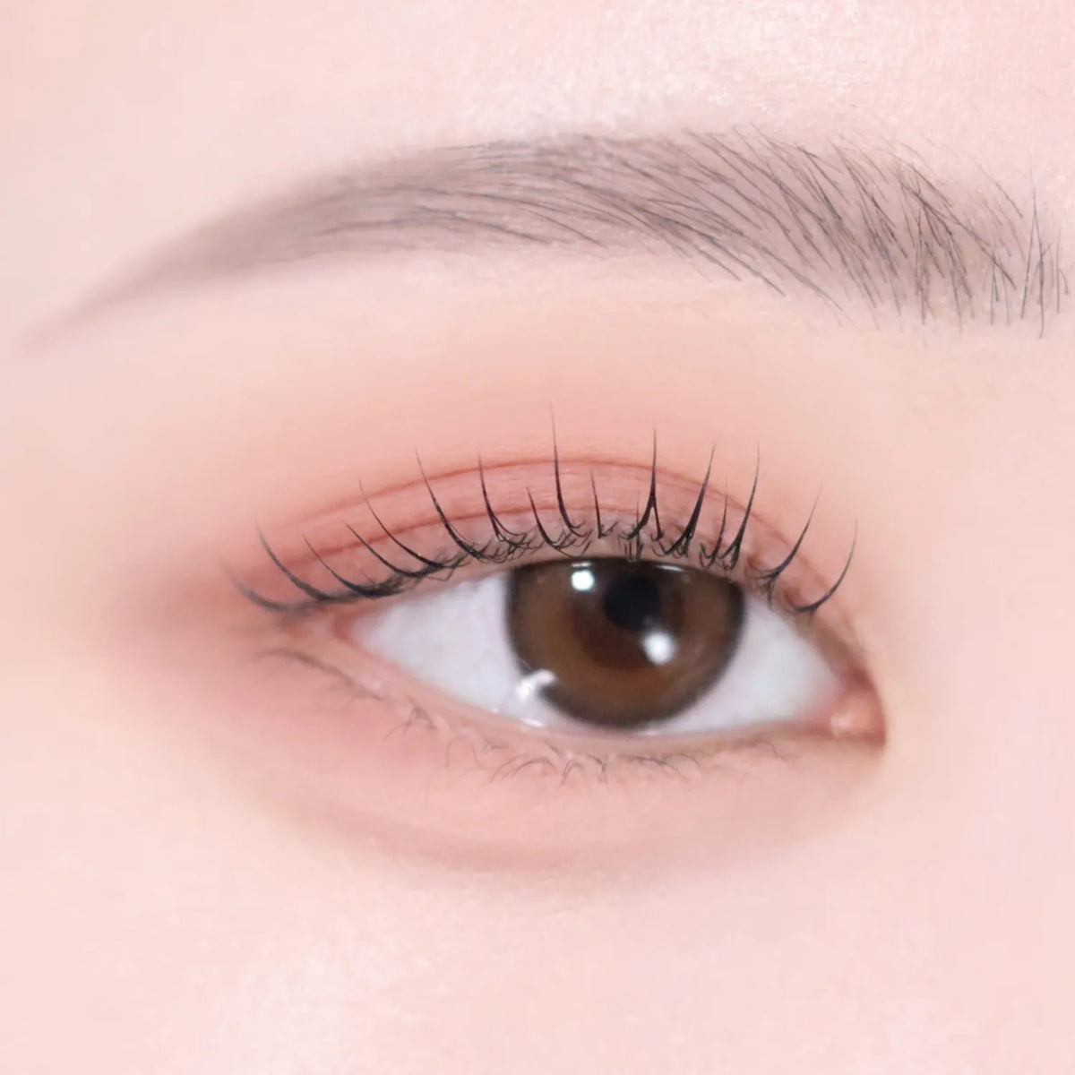 VDL Eye Stain Essential Shadow Duo 2.0g 6colors