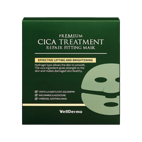 WellDerma Premium Cica Treatment Repair Fitting Mask 25g *4ea (1BOX)