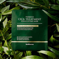WellDerma Premium Cica Treatment Repair Fitting Mask 25g *4ea (1BOX)