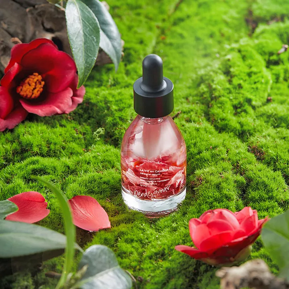 rendejavous LA VIE en Camelia Celestial Serum 30ml